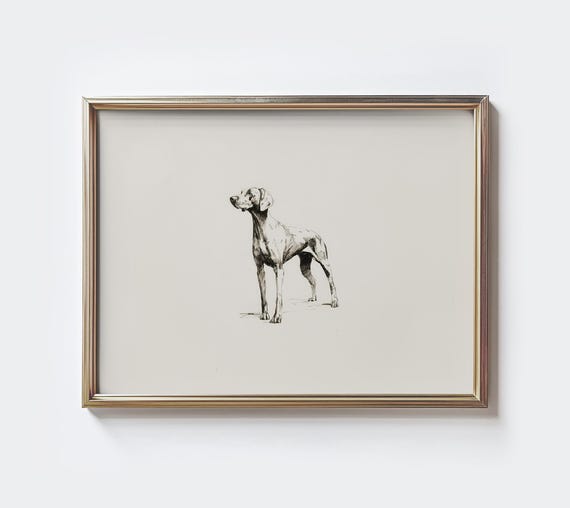 Vizsla Dog Sketch Print Minimalist Rustic Farmhouse Art