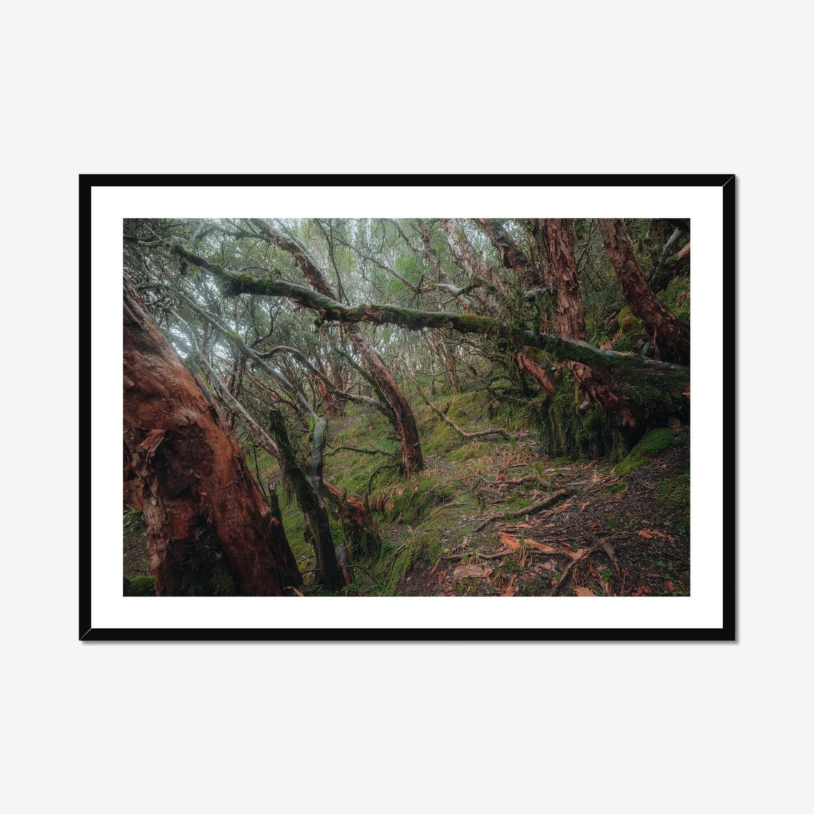 Magical Forest Poster Print, Mystical Forest Pathway
