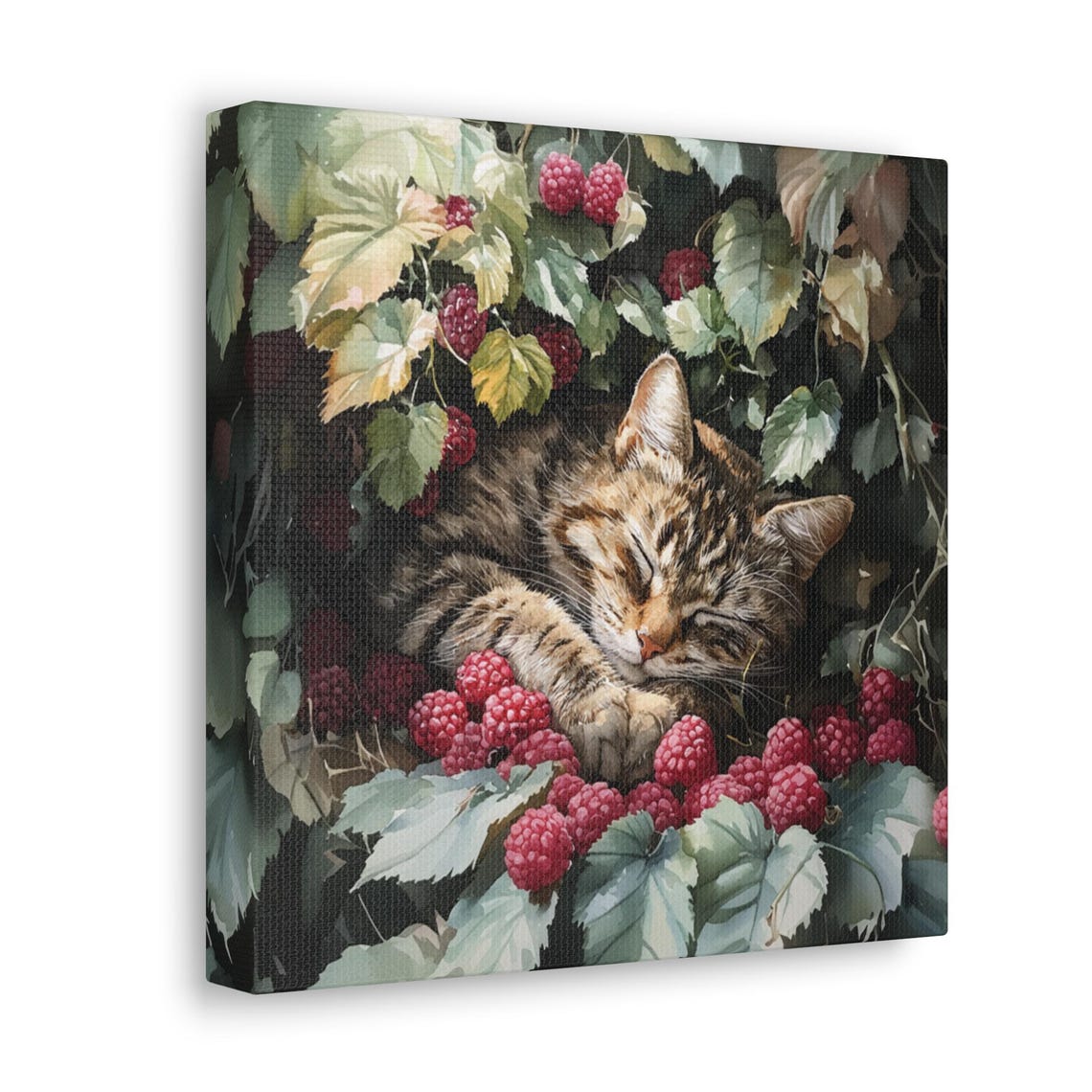 Sleepy Tabby Kitten Napping Among Ripe Raspberry Vines in Bloom Poster - Image 6