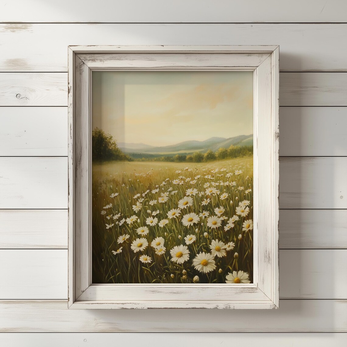 Chamomile Daisy Field Sunrise Wildflowers Meadow Golden Nature Poster