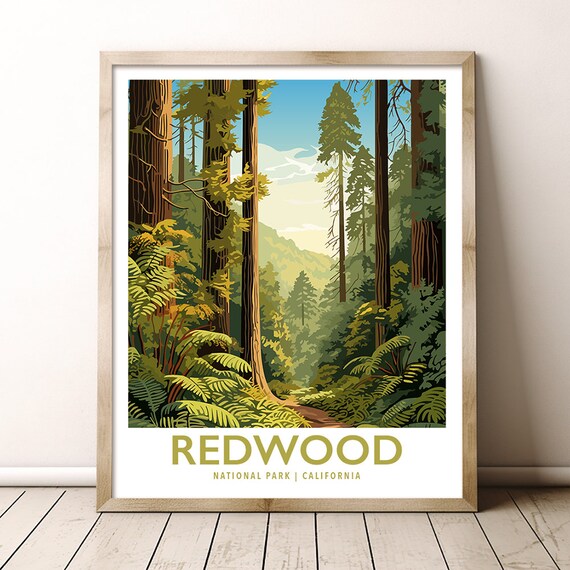 Redwood National Park California Giant Forest Trail Vintage Poster