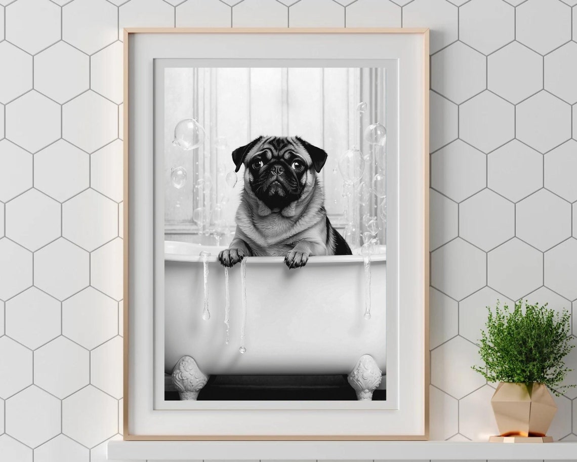 Cute Pug Dog Soaking In Bubble Bathtub Black And White Poster - Image 5