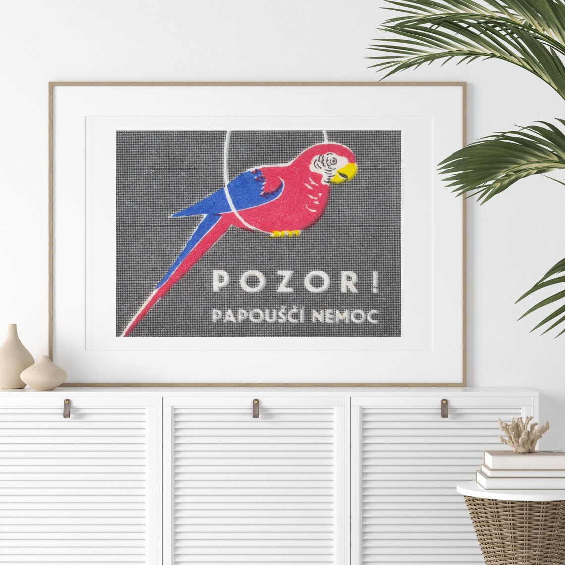 Pozor Parrot Disease Czech Vintage Matchbox Bird Art Poster Gray - Image 2