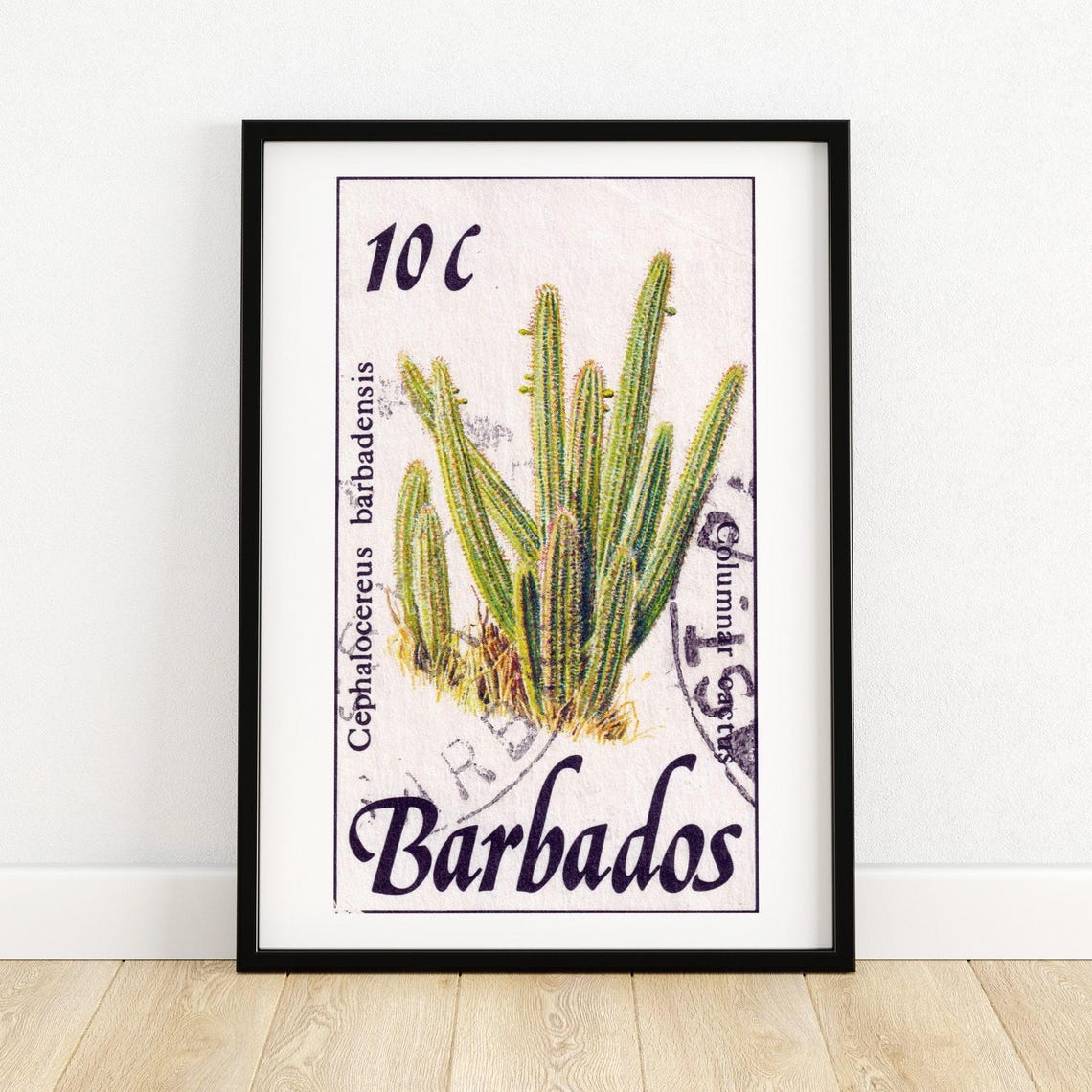 Barbados Columnar Cactus Vintage Postage Stamp Botanical Art Poster