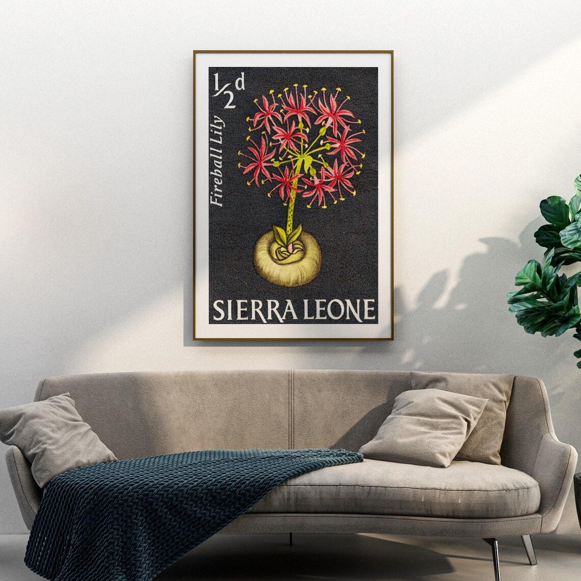 Sierra Leone Fireball Lily Flower Botanical Stamp Art Poster - Image 3