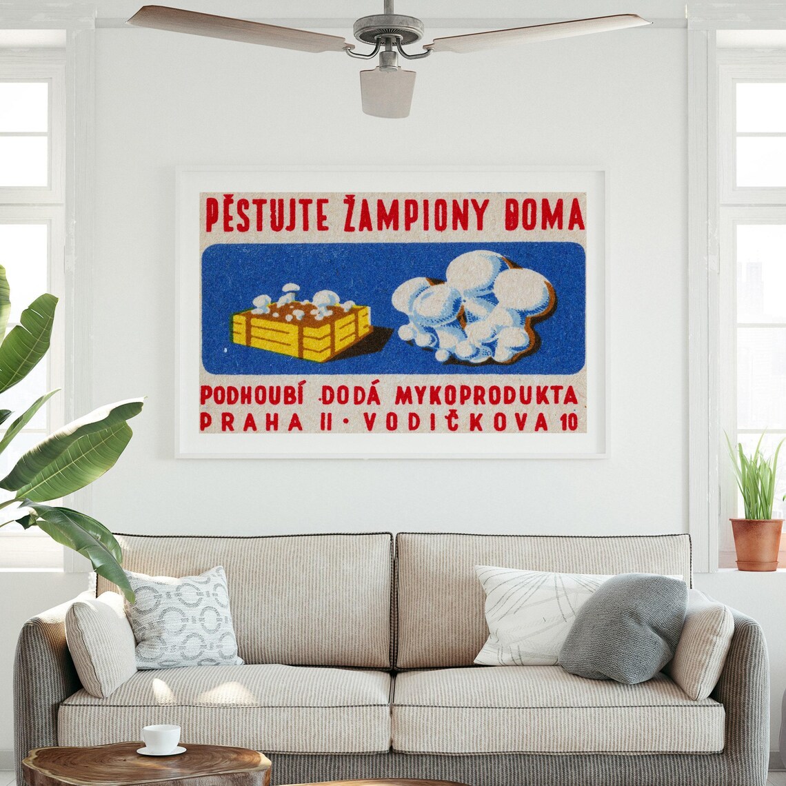 Pestujte Zampiony Doma Czech Mushroom Growing Vintage Ad Poster - Image 4
