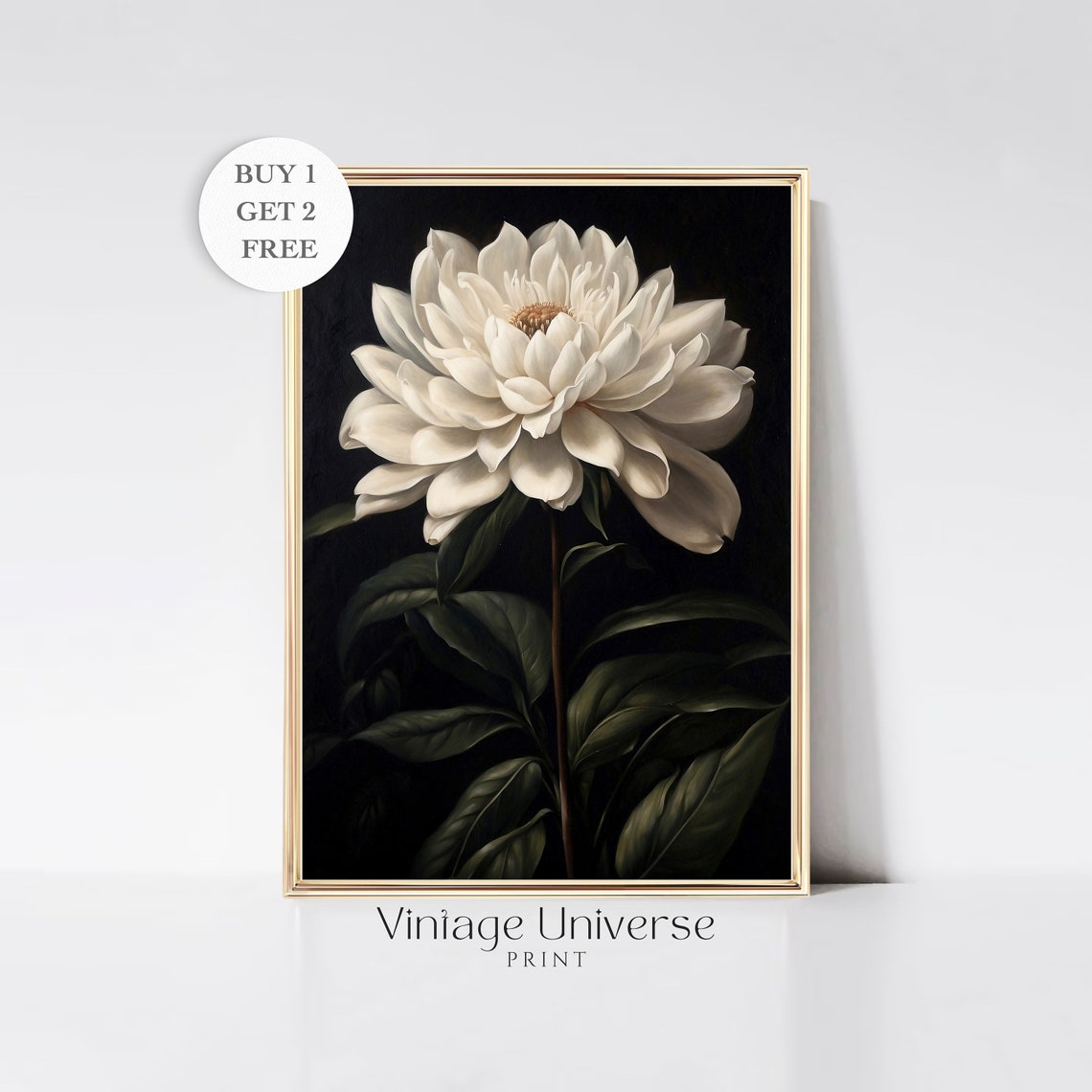 Elegant Giant White Dahlia Bloom Dark Moody Botanical Art Poster