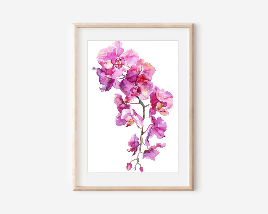 Pink Orchid Cascade Watercolor Flower Elegant Botanical Wall Poster - Image 2