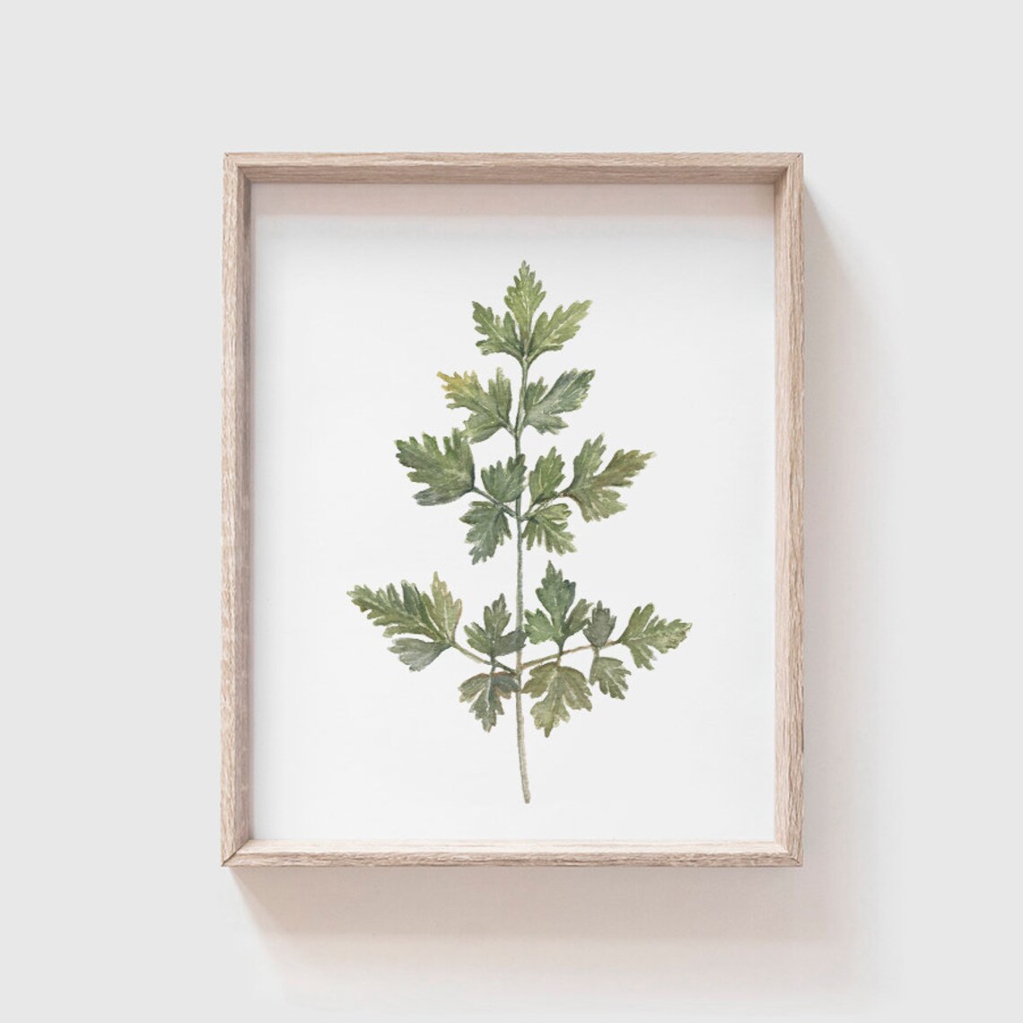 Parsley Watercolor Art Print, Kitchen Decor
