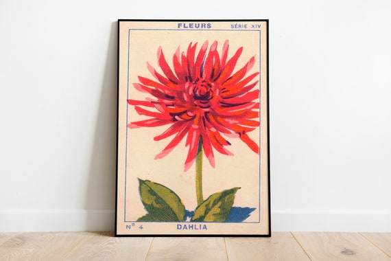 Fleurs Vintage Botanical Print, Floral Poster
