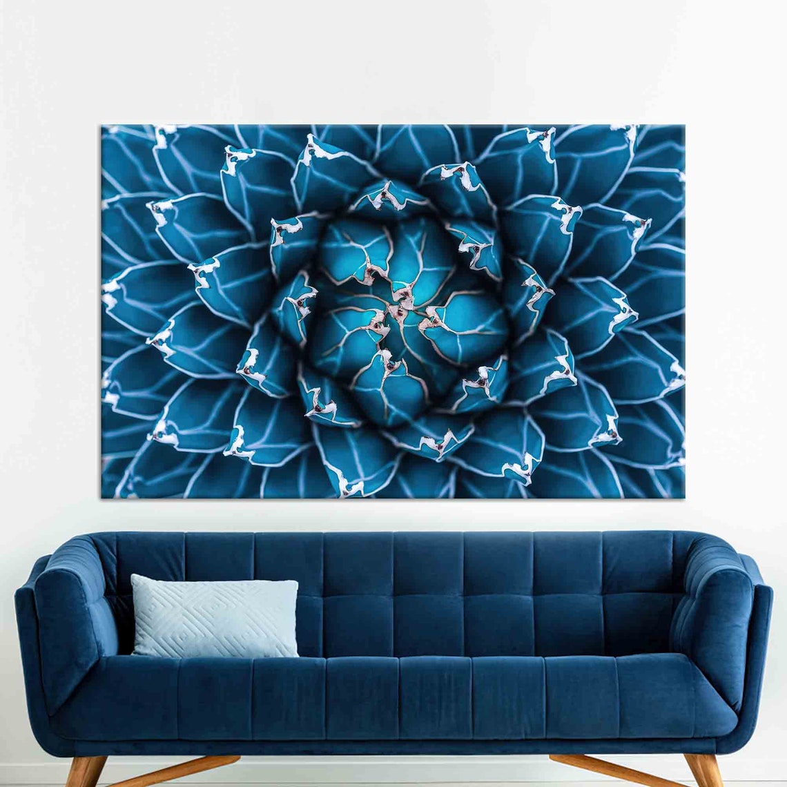 Striking Blue Agave Succulent Top Down Macro Botanical Art Poster