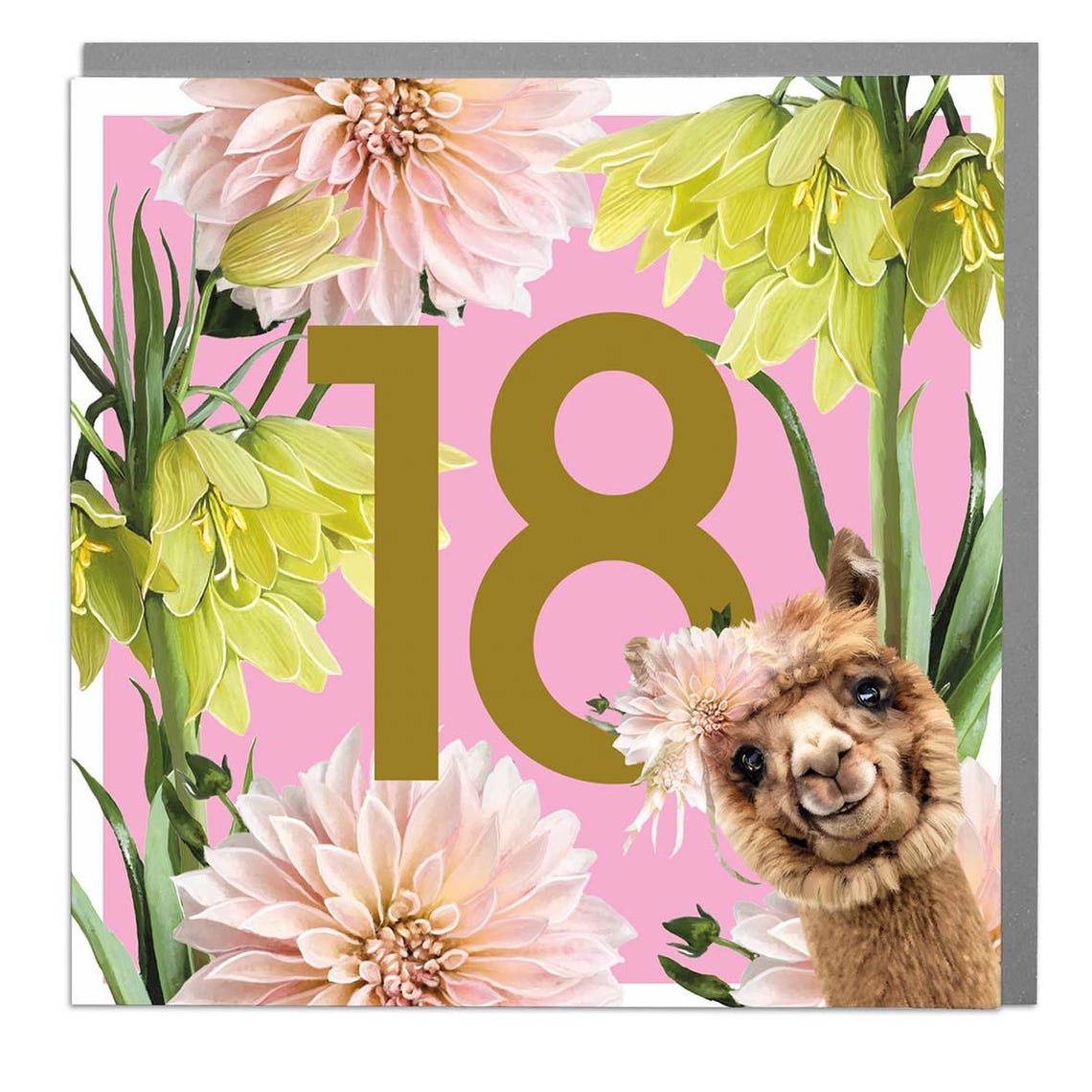 Age 18 Alpaca Greeting Card