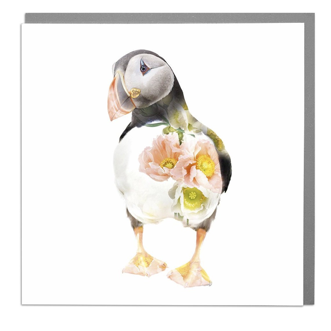 Puffin Greeting Card By Lola Design