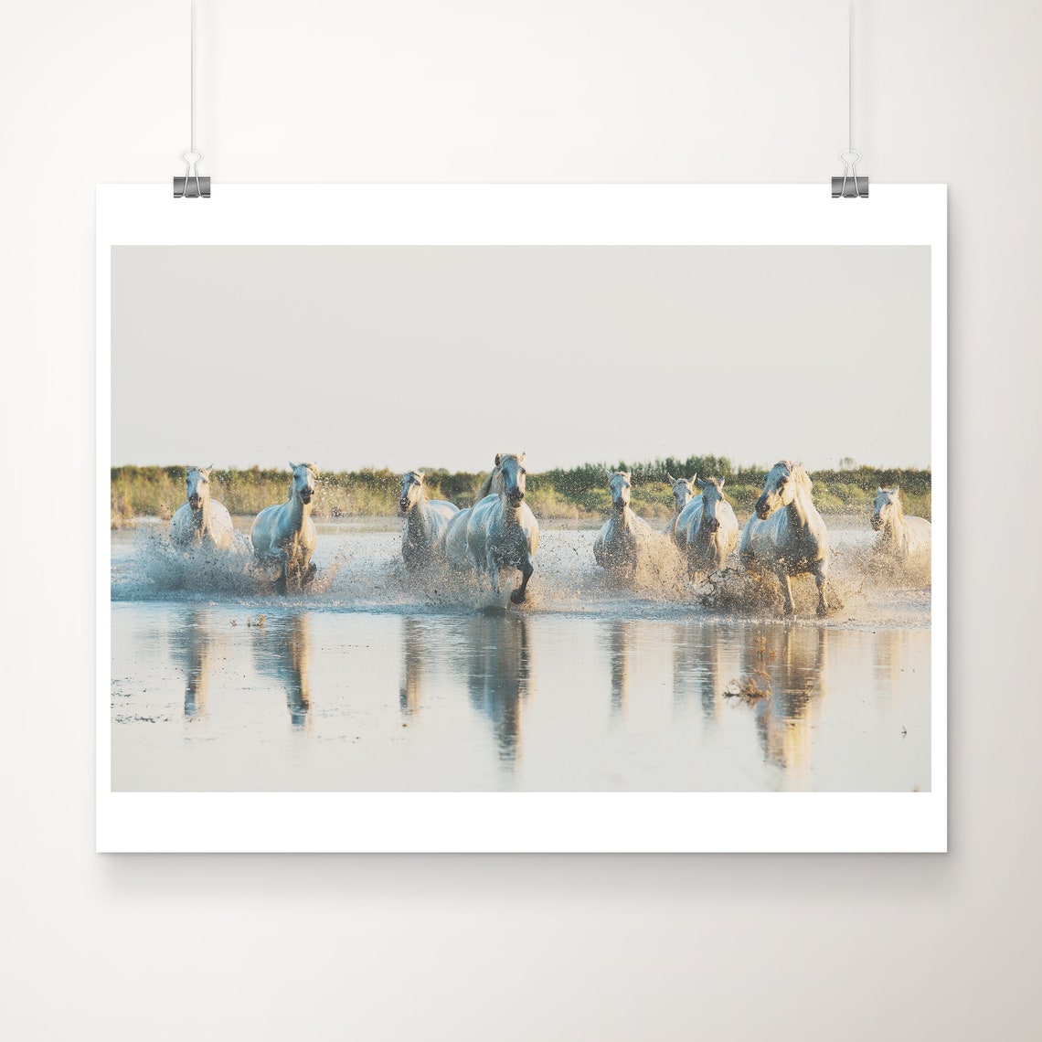 White Camargue Horses Running Water Fine Art Photography Poster