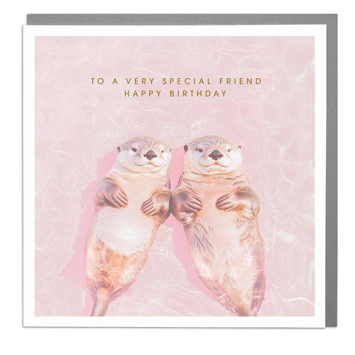 Two Otters Special Friend Birthday Card