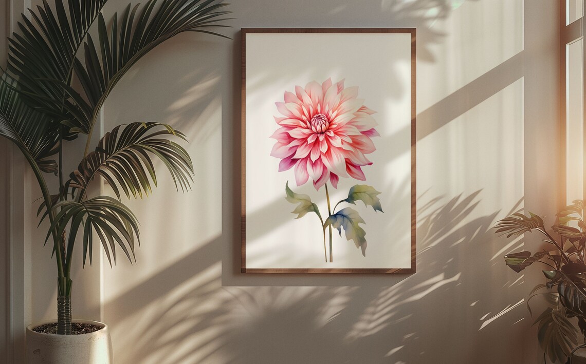 Blush Pink Dahlia Blossom Magenta Watercolour Botanical Art Poster - Image 5