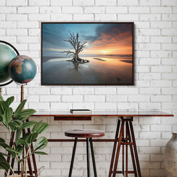 Lone Bare Tree Reflected On Wet Sand Beach At Sunset Photo Print