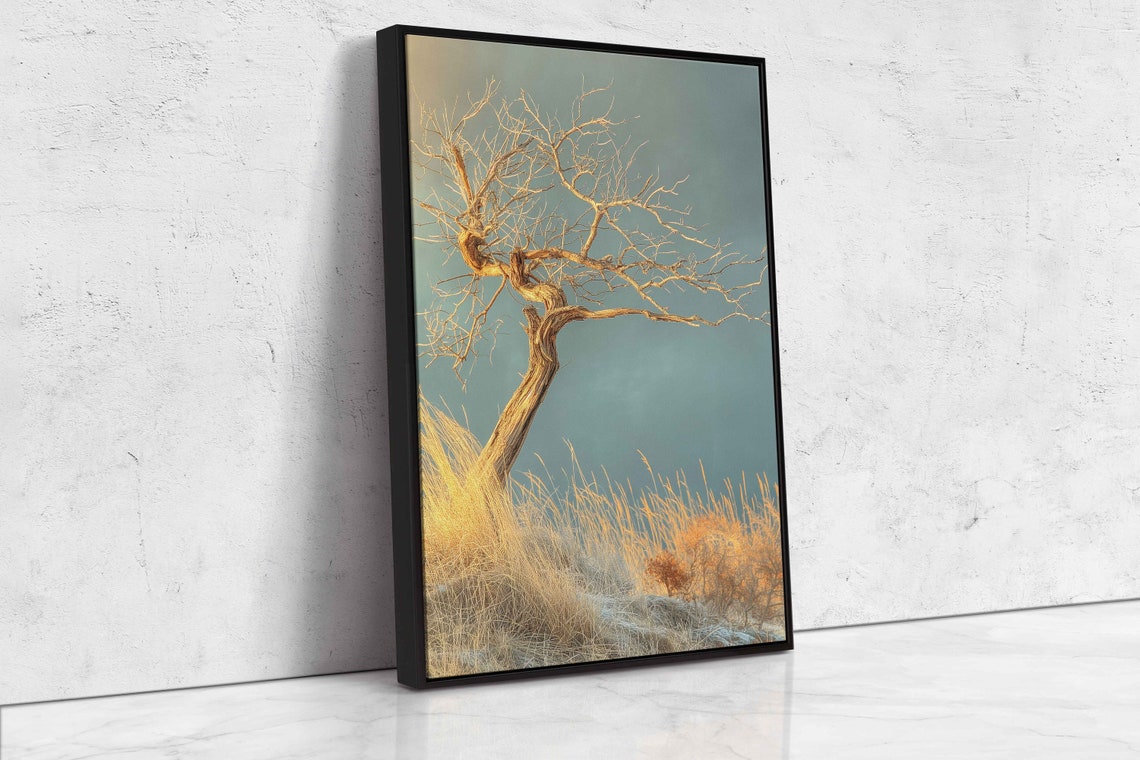 Lone Dead Tree Barren Field Moody Cloudy Sky Minimal Nature Print - Image 4