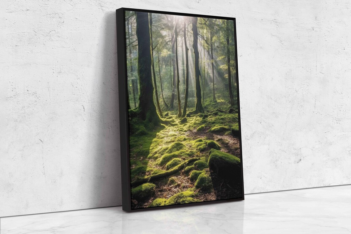 Sunlight Filtering Through Tranquil Forest Wall Art Print Peaceful Nature Wooded Flowing Stream Ready To Hang - Image 4