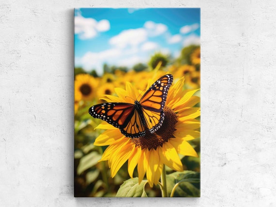 Closeup Photo Of A Butterfly On A Sunflower Macro Photography Framed Print Home Decor