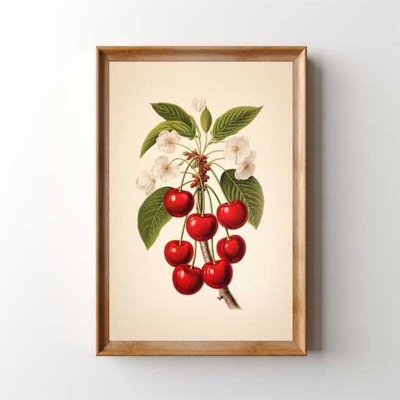 Vintage Cherries Art Print Cherry Wall Art Vintage Lithograph Cherry Print Retro Kitchen Fruit Artwork Cottagecore Cabin Decor
