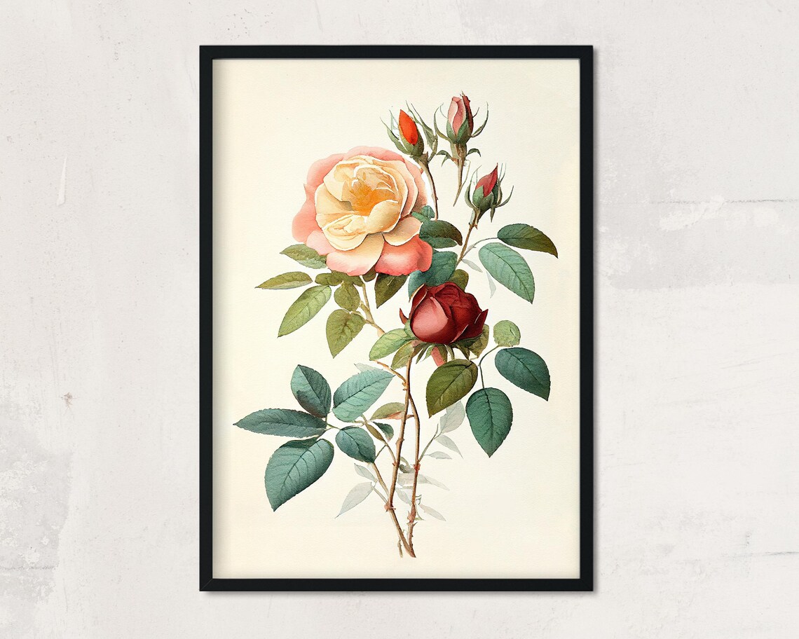 Vintage Rose Print, Minimalist Botanical Art Print - Image 2