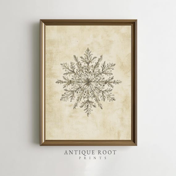 Detailed Snowflake Illustration Rustic Vintage Winter Wall Art Antique Parchment Style Crystal Engraving Instant 159