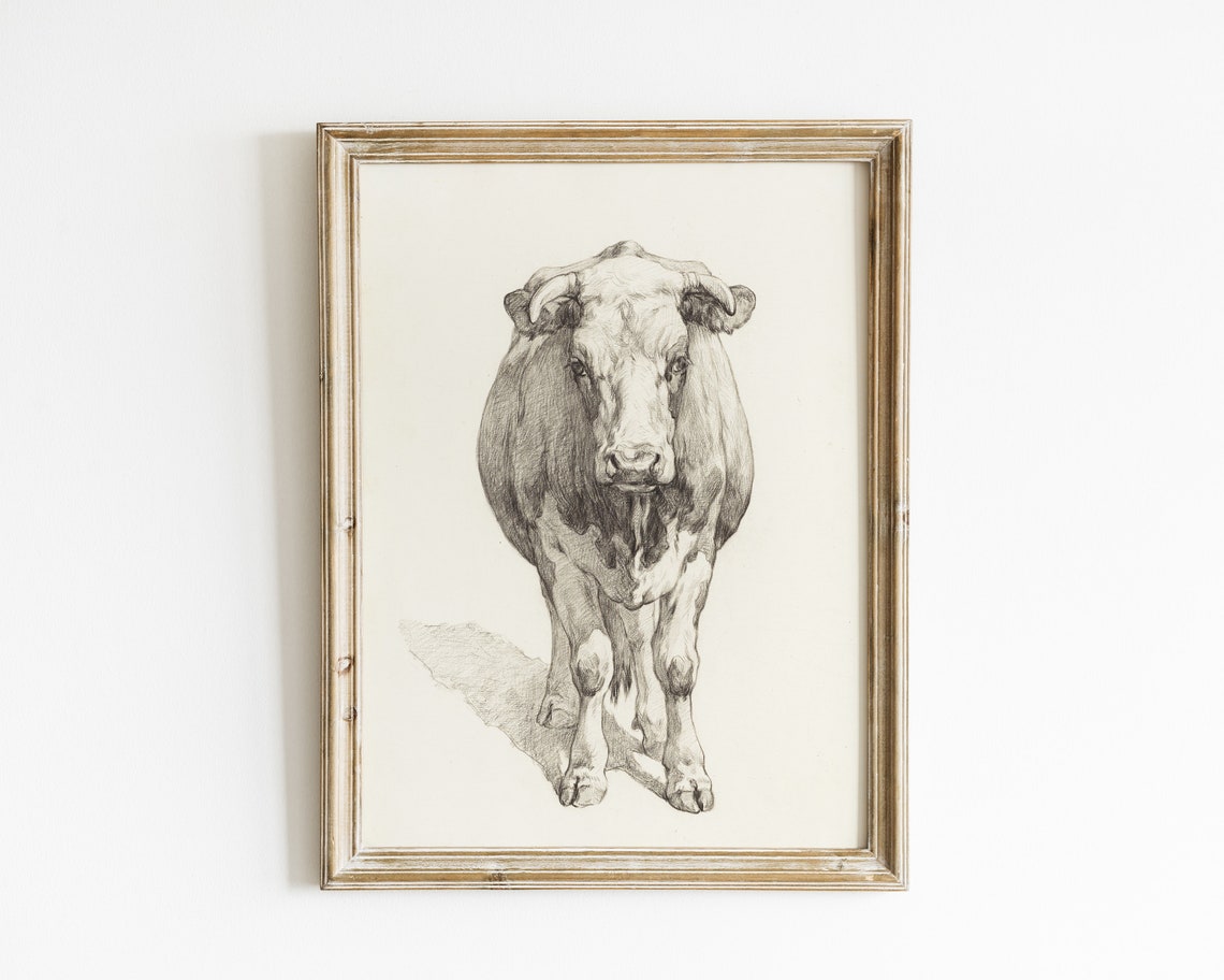 Vintage Farmhouse Cow Sketch Art Print - Image 2