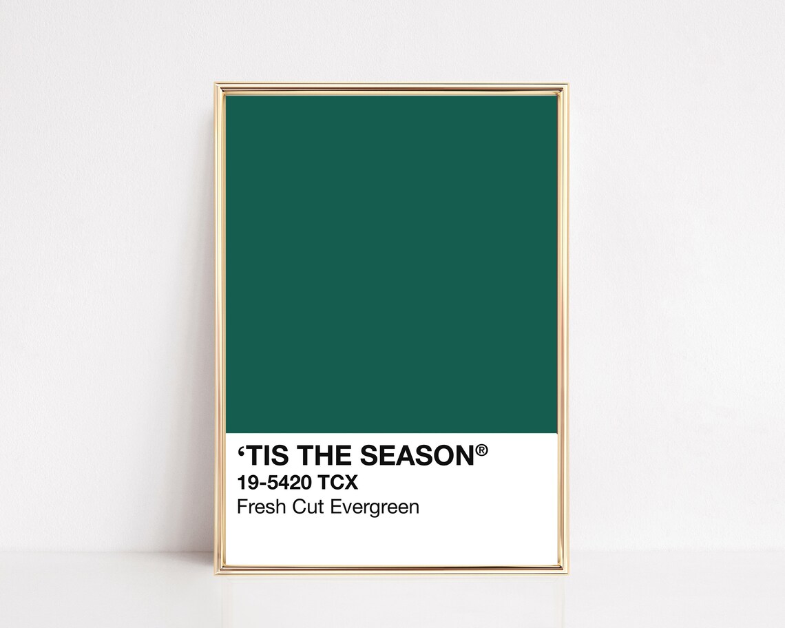 Fresh Cut Evergreen Modern Holiday Art Print