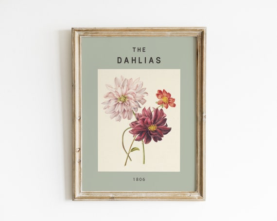 Vintage Floral Art Print, Eclectic Wall Decor