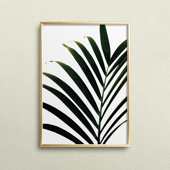 Palm Leaf Botanical Minimalist Tropical Photography Art Poster