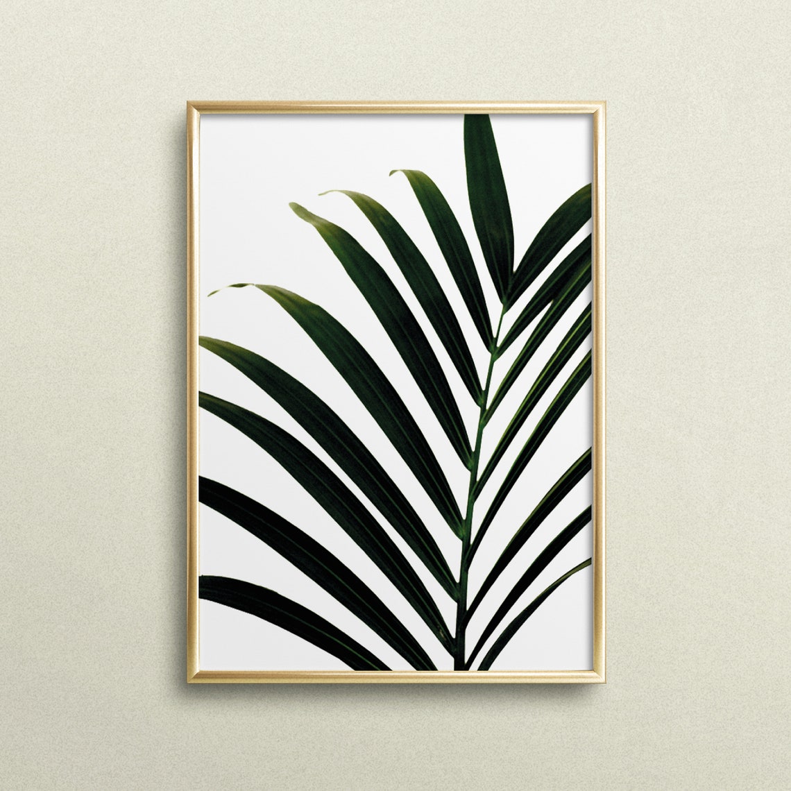 Palm Leaf Botanical Minimalist Tropical Photography Art Poster