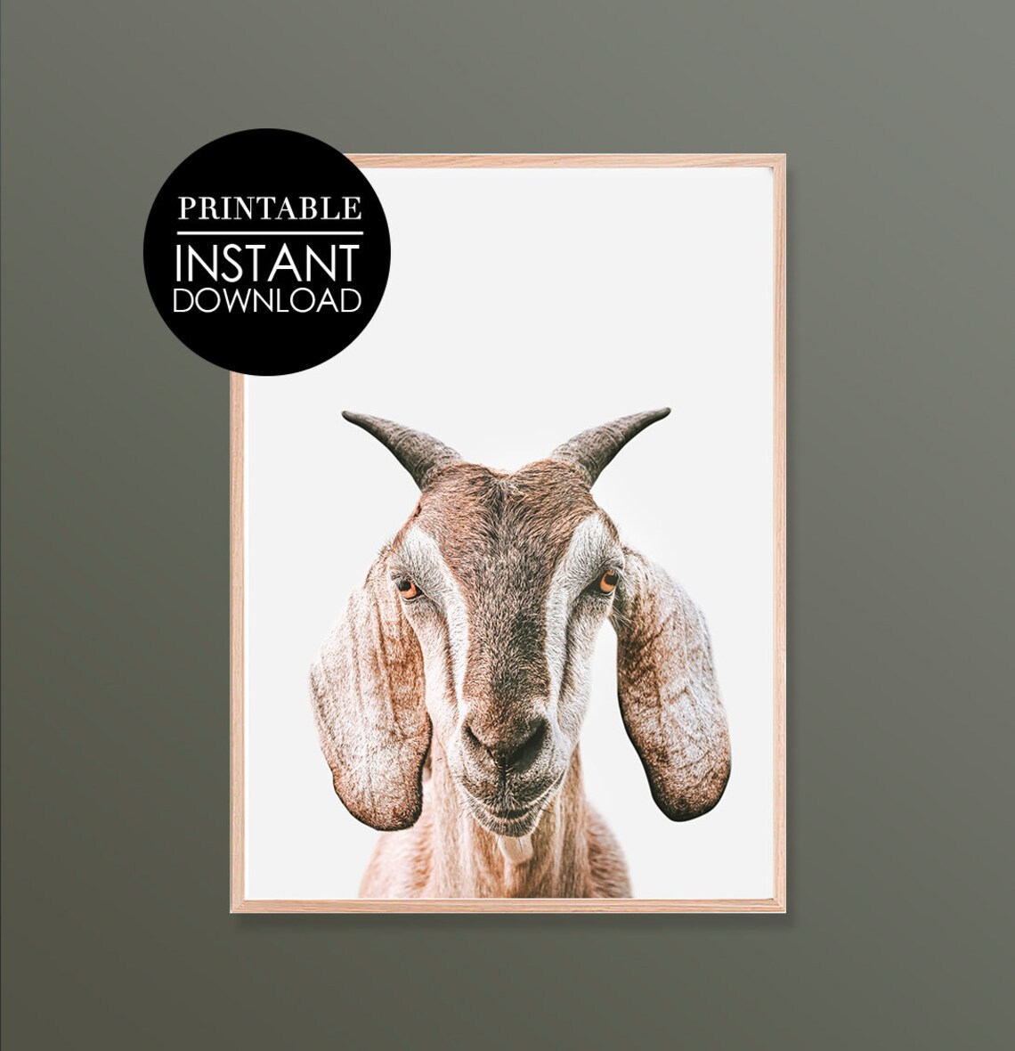 Goat Face Close Up Portrait Photo Minimalist Animal Art Poster