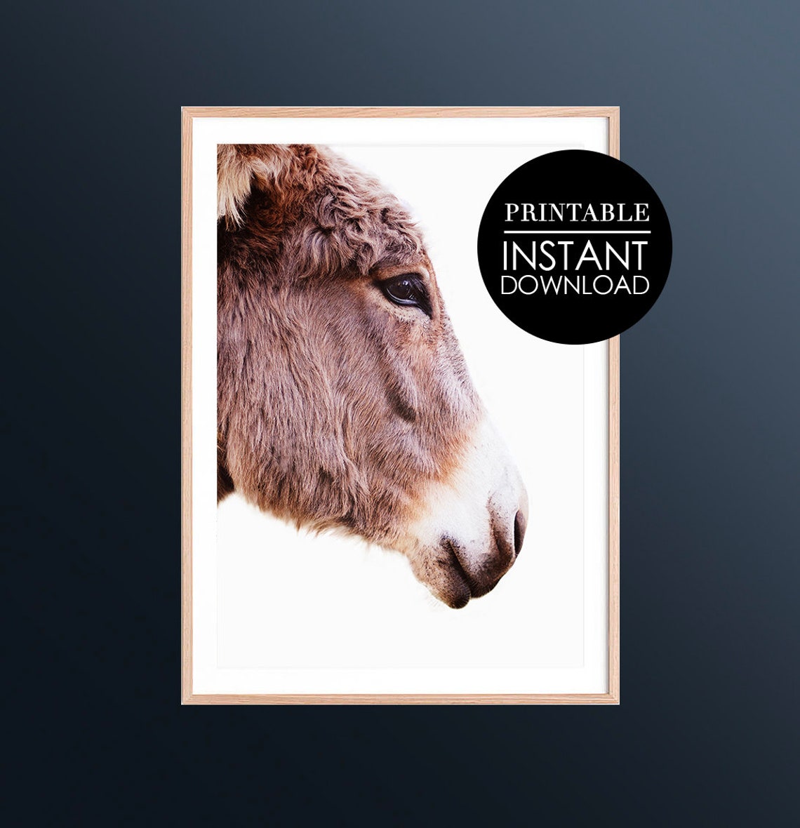 Donkey Print Modern Farmhouse Decor Nursery Wall Art