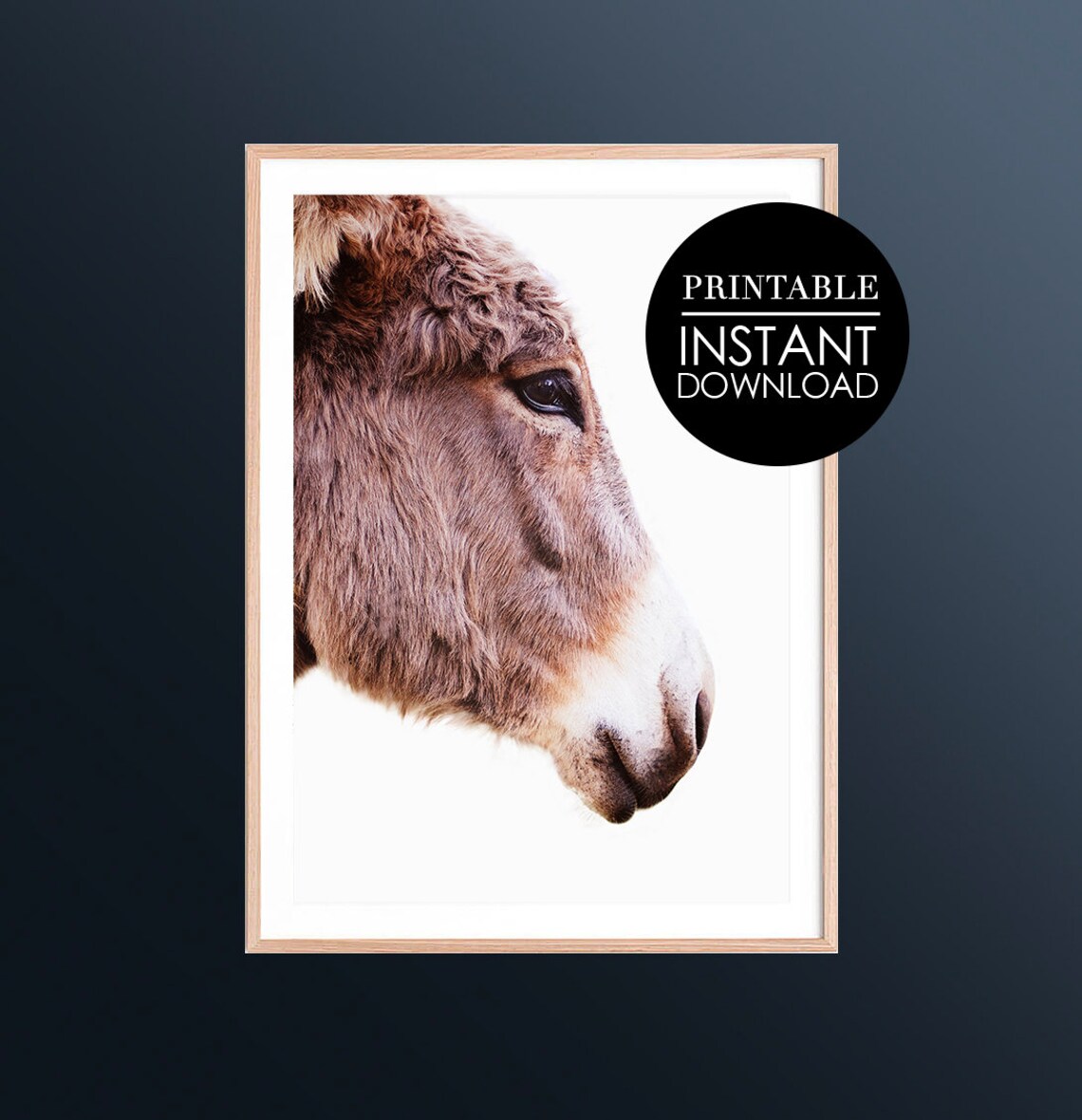 Donkey Profile Minimalist Farmhouse Animal Photo Portrait Poster