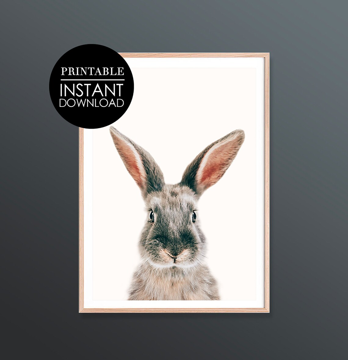 Gray Bunny Portrait Minimalist Cute Animal Photo Decor Art Poster