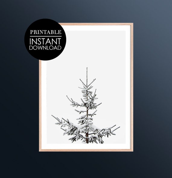 Tree Print Wall Art Decor Holiday Photography Snowy Pine Modern Minimal