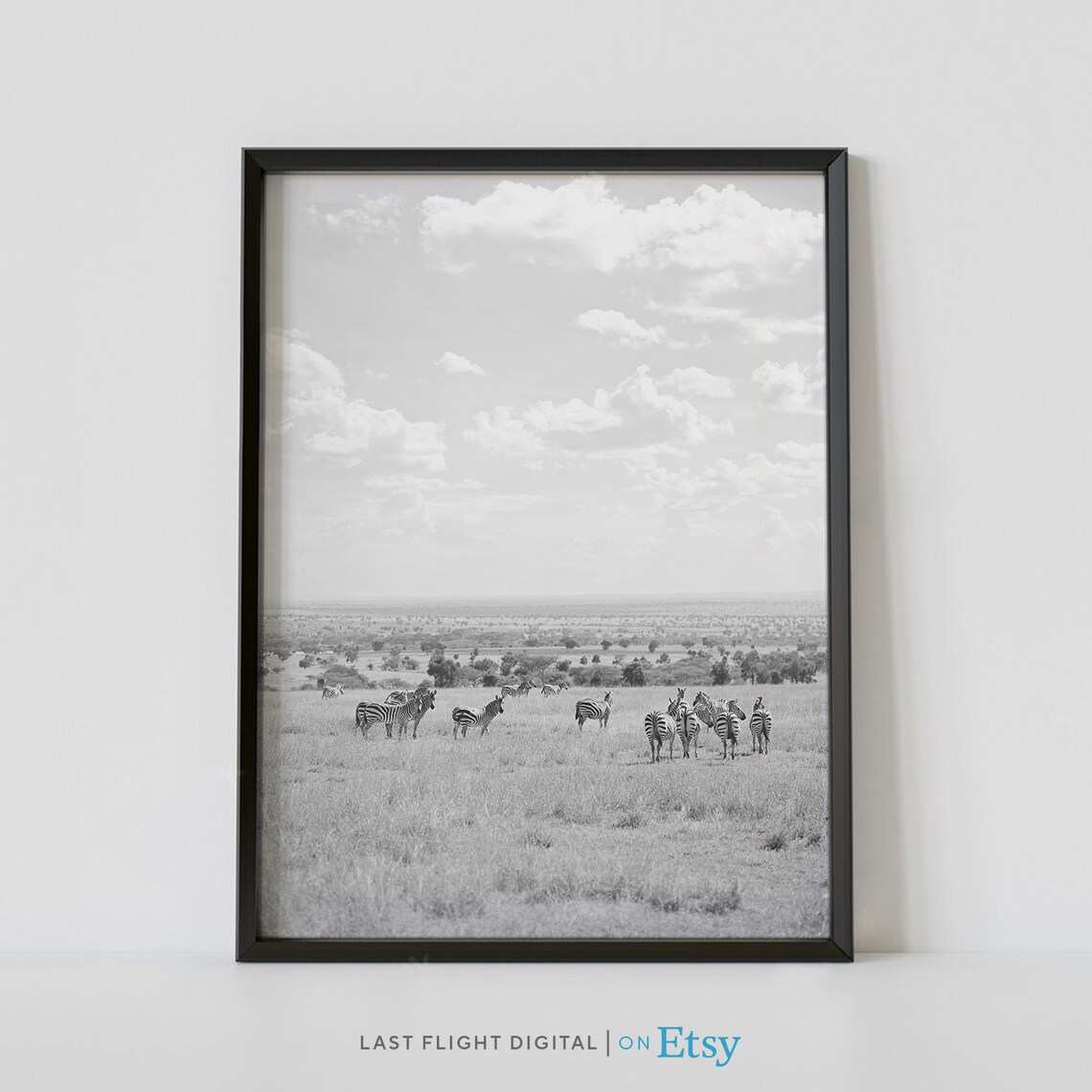 Kenya Nairobi National Park Zebra Herd Black White Wildlife Poster