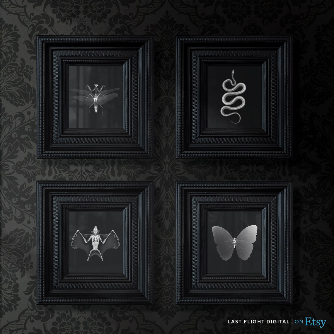 Preying Mantis X-Ray Art Print, Gothic Dark Art - Image 3