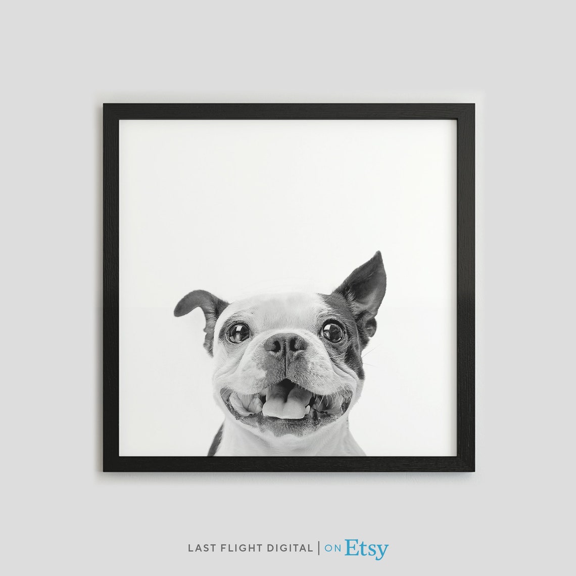 Dog Print Boston Terrier Dog Poster Puppy Print Puppy Poster Kids Room Face Black White Photo Nursery Boston Terrier Print Dog Art
