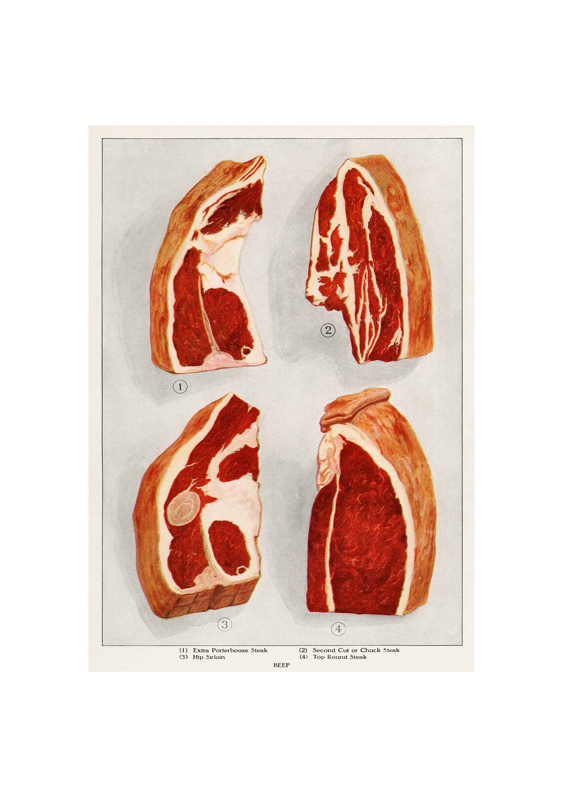 Vintage Beef Sirloin Art Print