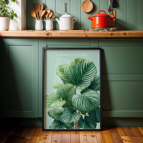 Calathea Orbifolia Print Tropical Botanical Wall Art Plant Lover Gift