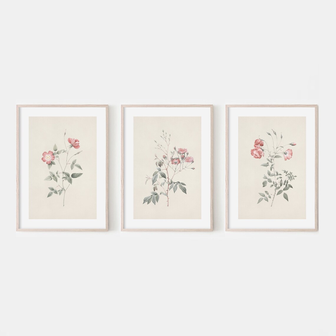 Antique Flower Art Print Set, Vintage Botanical Decor - Image 3