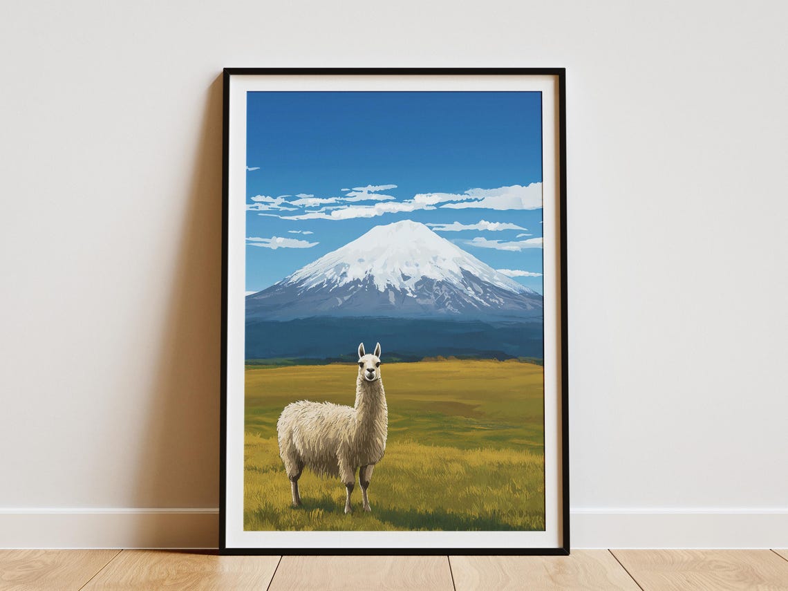Alpaca In Meadow With Snowcapped Cotopaxi Mountain Andes Poster