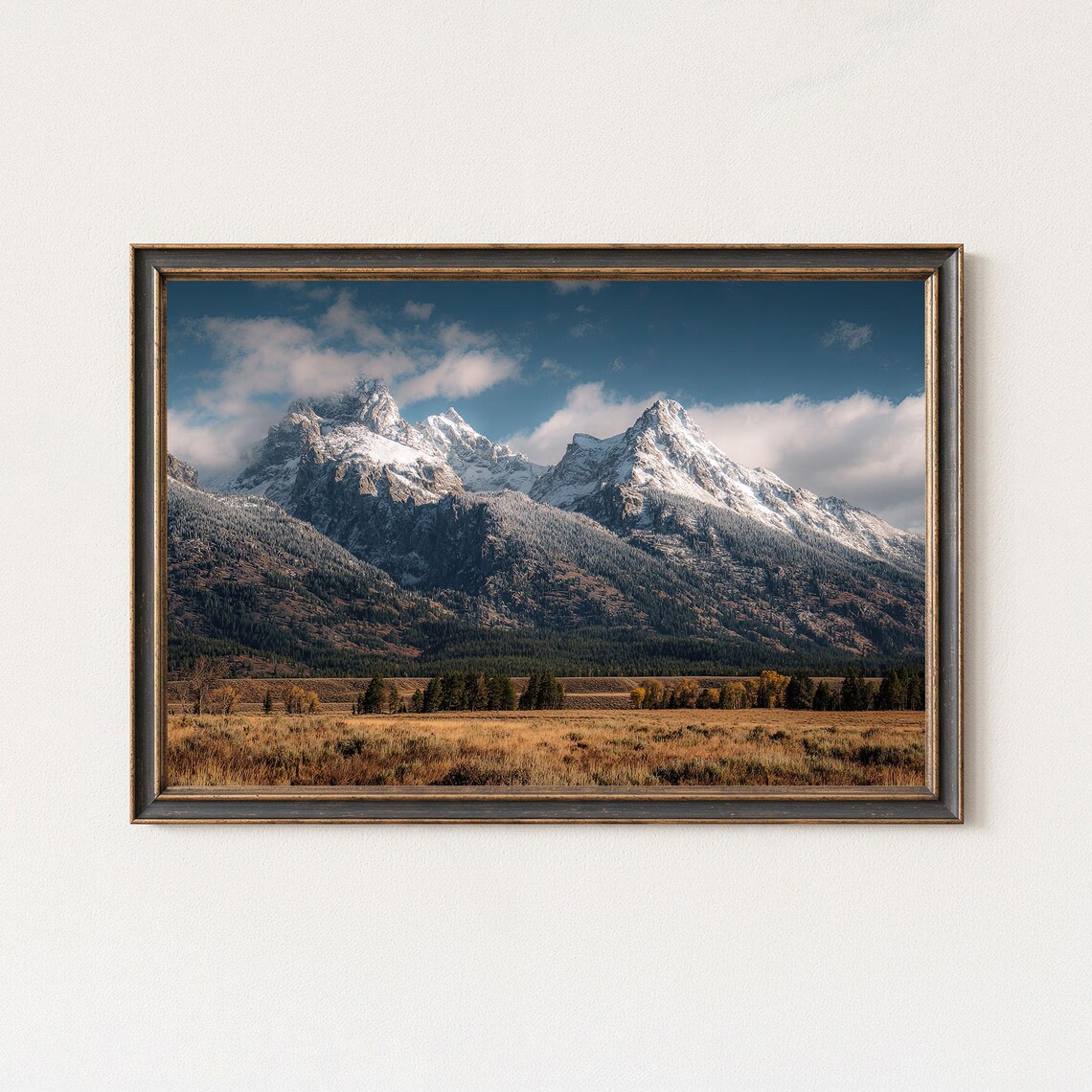 Grand Teton Wyoming Snowy Peaks Golden Meadow Mountain View Poster