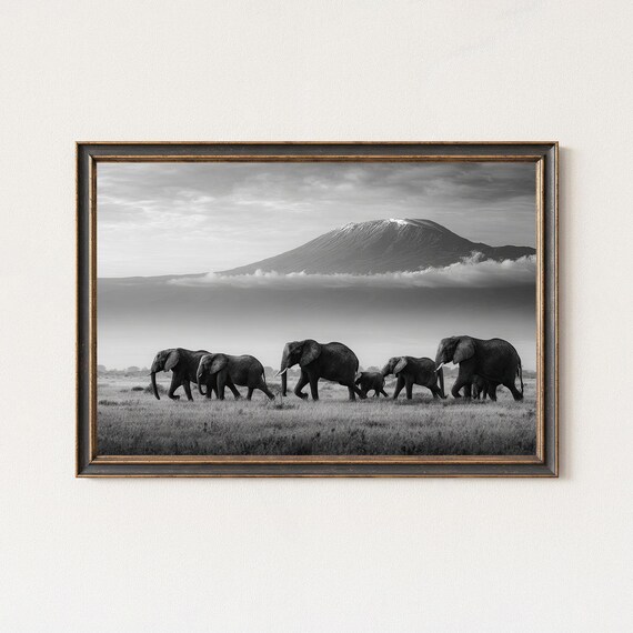 Black And White Elephant Photography Print Kilimanjaro Wildlife Art