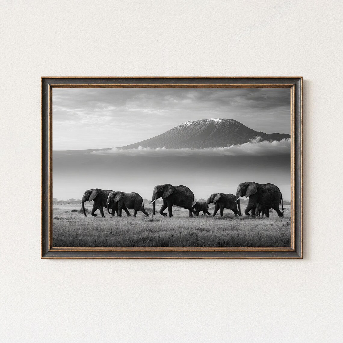 Black And White Elephant Photography Print Kilimanjaro Wildlife Art