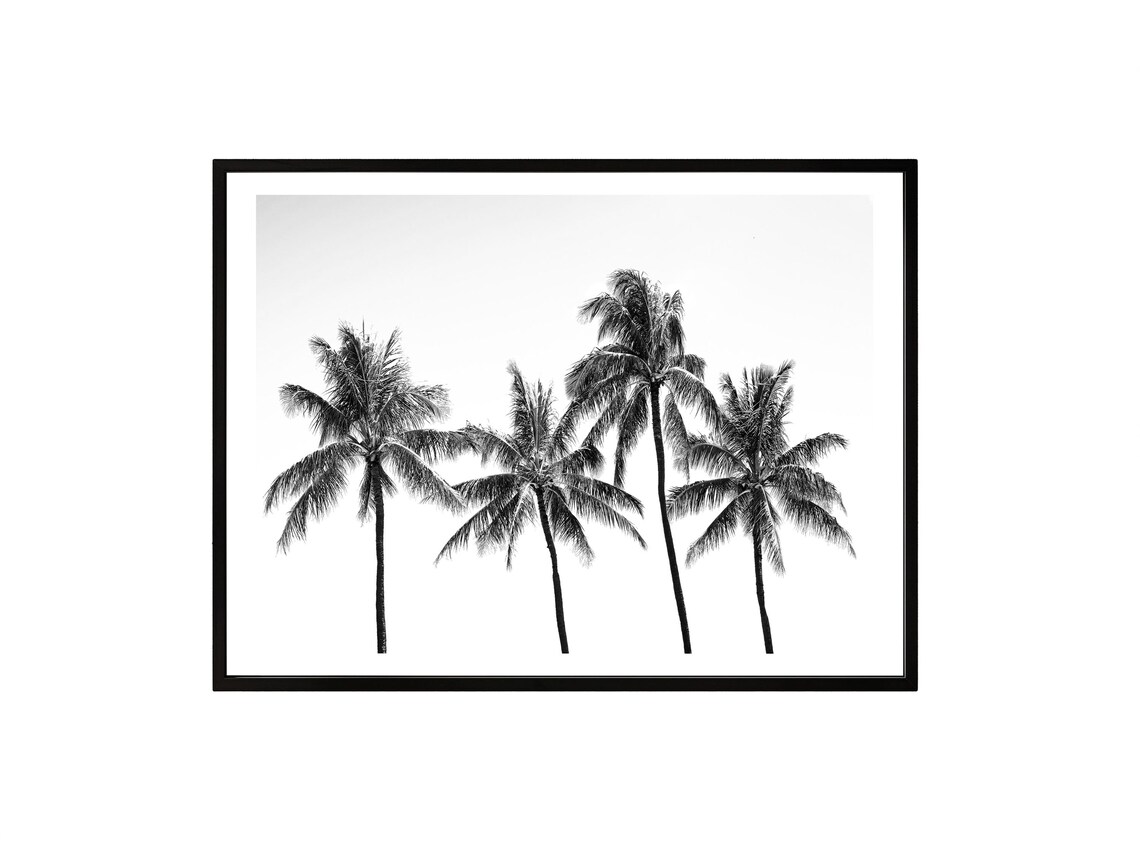 Tropical Palm Trees Black and White Minimalist Coastal Wall Art