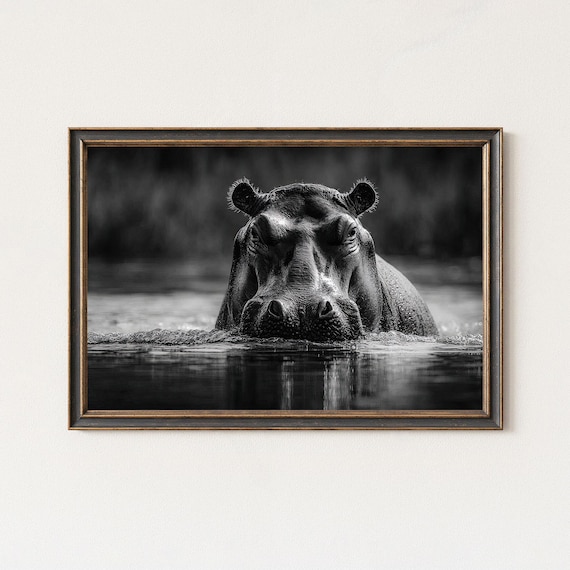 Black And White Hippo Wildlife Art Print Africa Decor