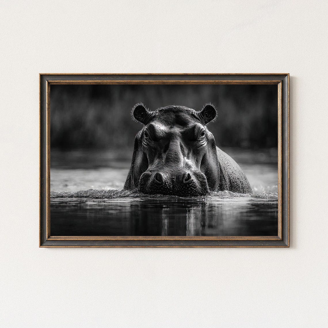 Dramatic Hippo Emerging Water Black White Wildlife Art Poster